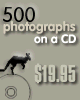 500 Photographs on a CD